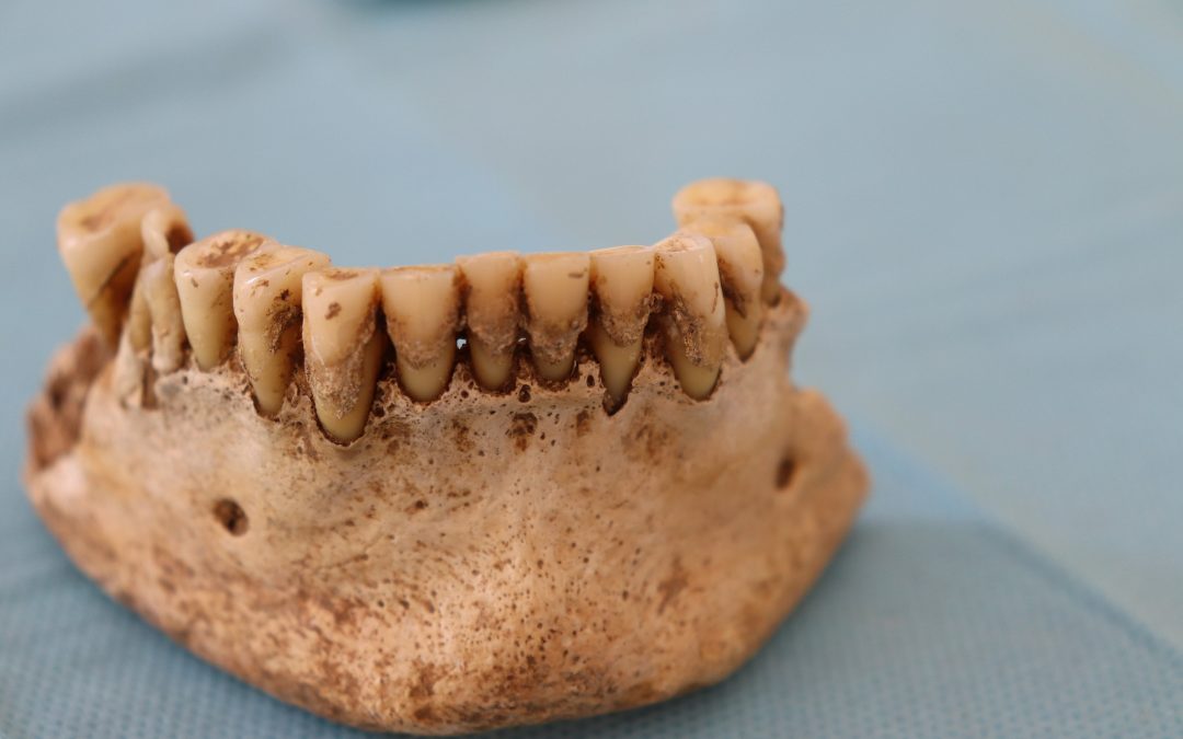 ¿Qué secretos nos revelan los dientes prehistóricos?